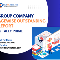Tally TDL For Group Company Outstanding